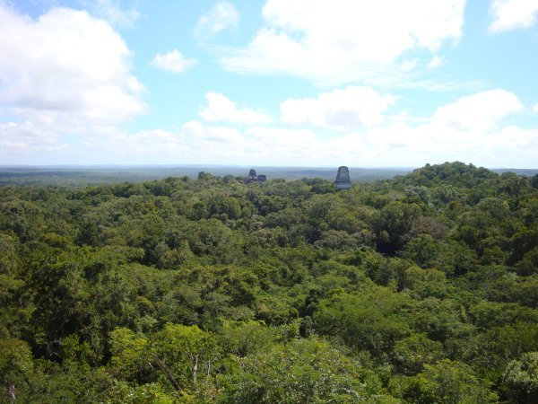 Overview of Tikal