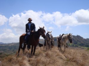 Nicaraguan Horse Whisperer