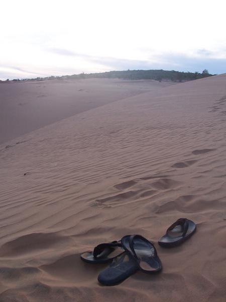 The Dunes in Mui Ne