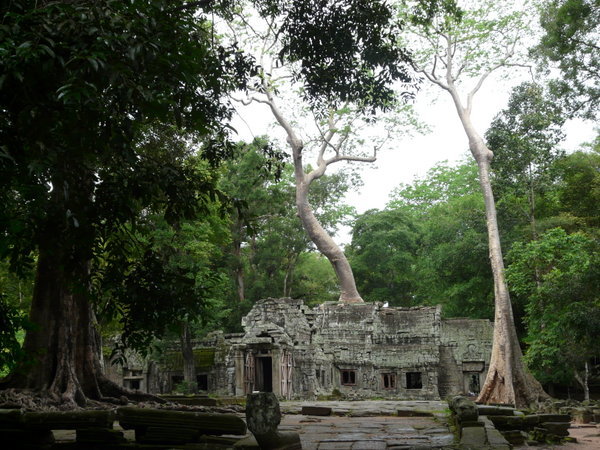 Tempel mit Baum...man glaubt es kaum :-)