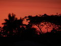 Welcome to Australia - Die Sonnenunterganege sind defintiv Darwin's Highlight