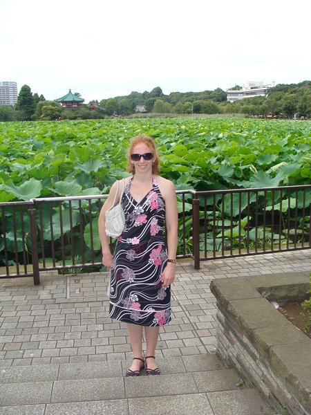 Shinobazu lotus pond