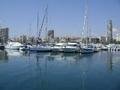 Harbour Alicante