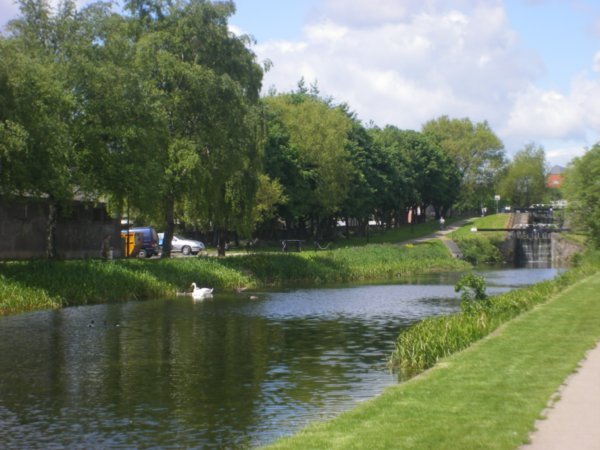 Grand Canal and Botanic Gardens 008