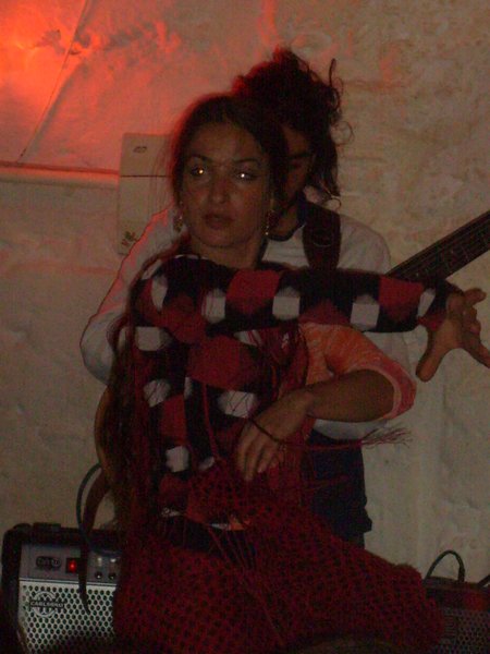 flamenco show 012