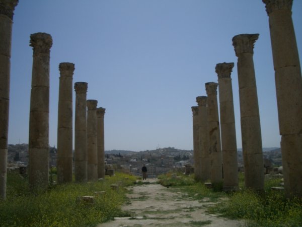 Colonnaded Street - Jerash