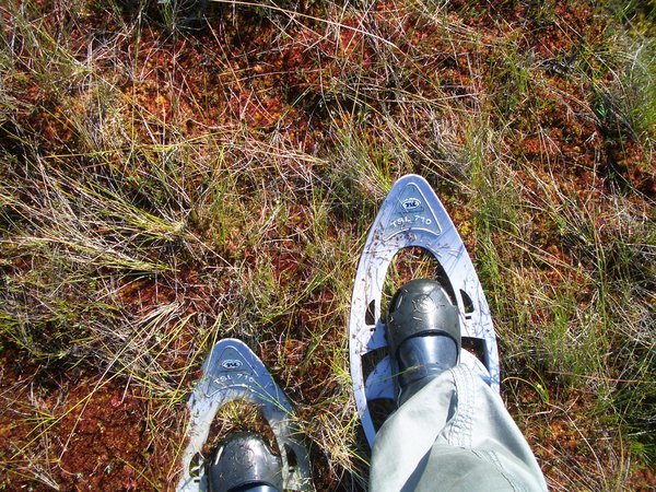 My bog shoes