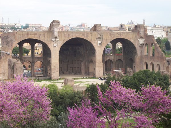 View from Palatine Hill