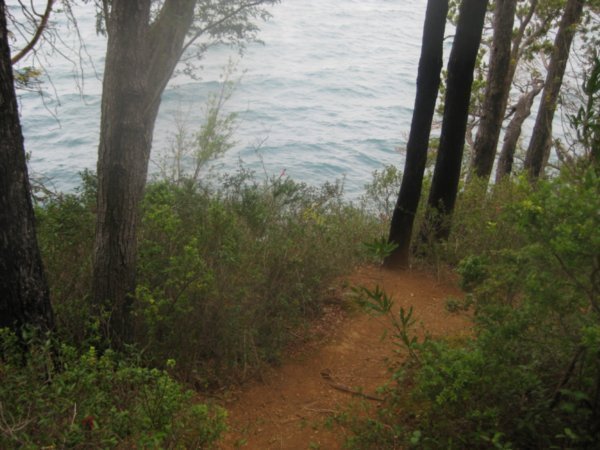 sendero al lado de la costa de la isla con un mirador del Lago CalafquÃ©n 