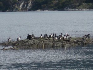 El Parque Nacional Tierra del Fuego