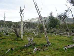 El Parque Nacional Tierra del Fuego