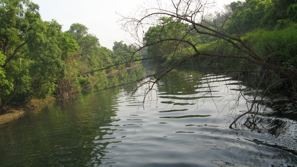 Natural Beauty in Bardiya National Park