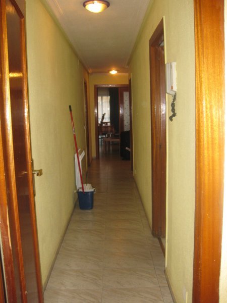 The hallway