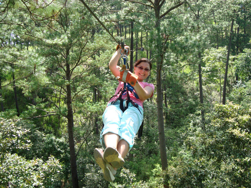 Canopy tour