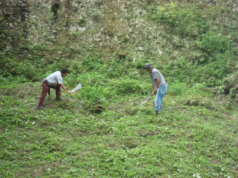 The men clearing the vegetation