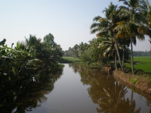 Backwater canal