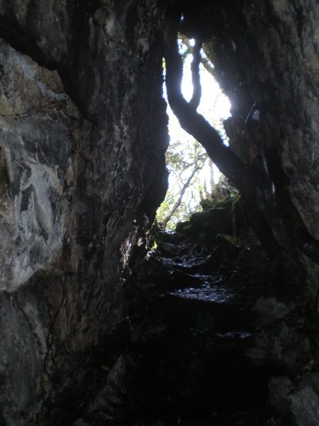 Inside the Lava Caves on Rangitoto