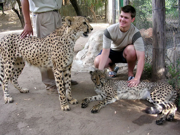 Petting a Cheetah. 