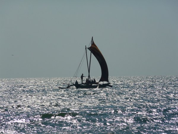 Sri Lankan coastal scene