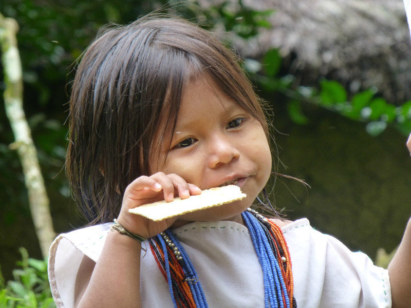 Kogi youngster