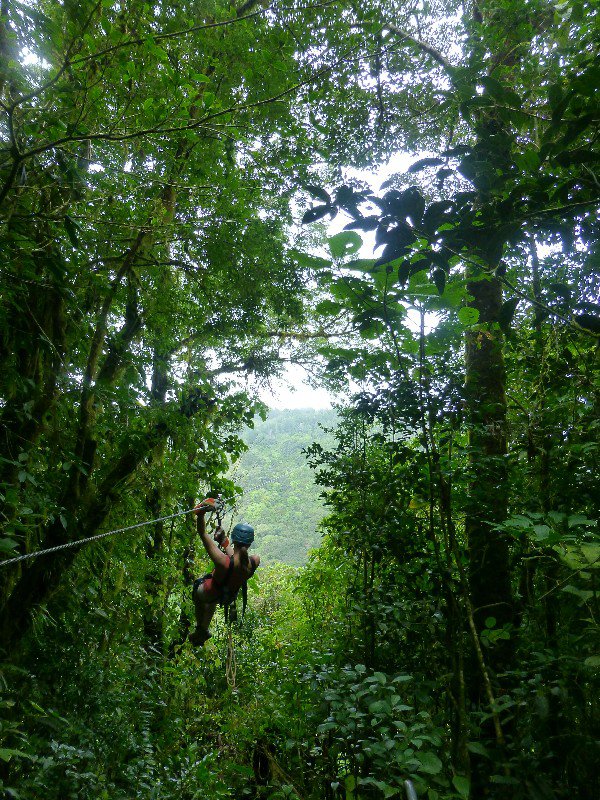 Zip-lining through the canopy