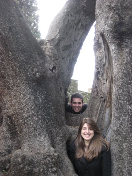 Laura and Me in a tree