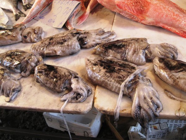 Market Fish Stand - Squid
