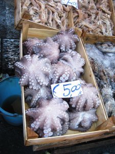 Market Octopus