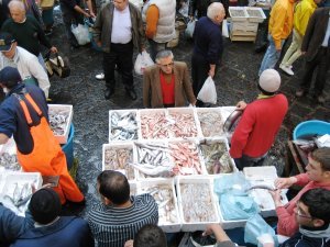 Market Fish Stand