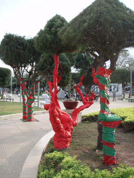 Christmas trees in Nha Trang