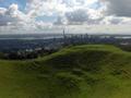 Auckland from on high
