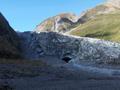 Fox Glacier