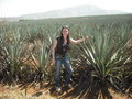 Me in the blue agaves