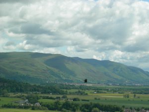 View of the Glen 
