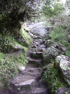 Inka trail 2