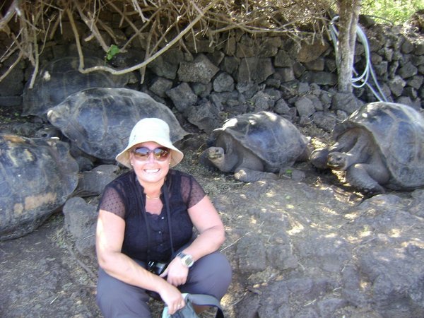 Julz with Giant tortoises