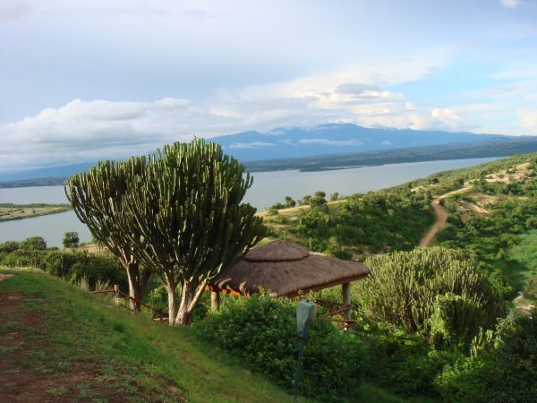Mt. Rwenzori