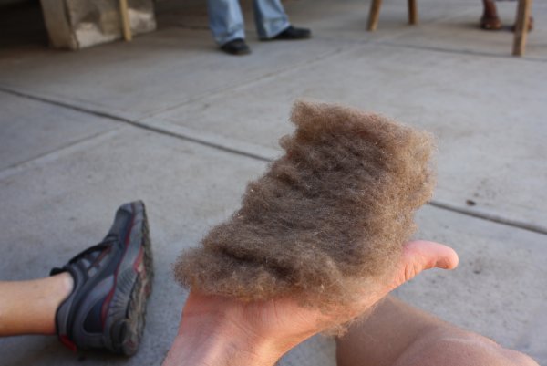 Brushed Wool for Rugs