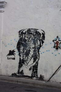 Graffiti in Oaxaca 
