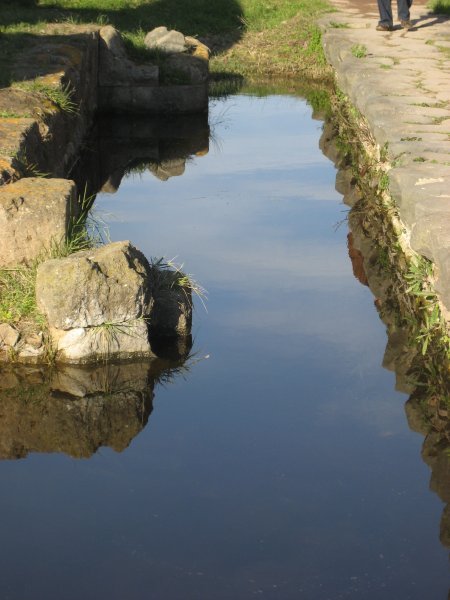 Reflections in the water by a bridge