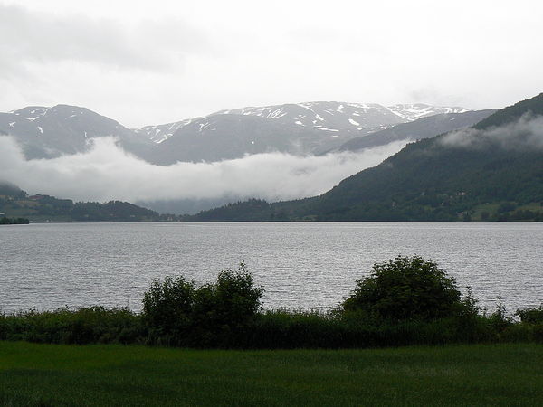 A foggy lake view