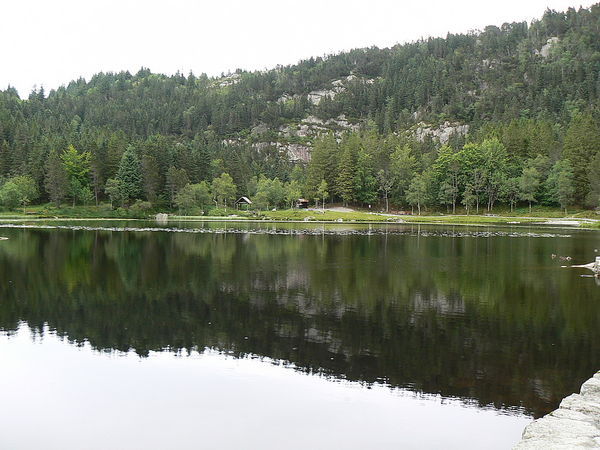 One of the ponds
