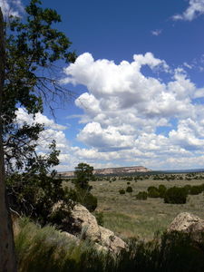 The New Mexico landscape