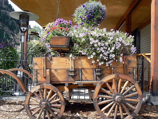 A wagon full of flowers