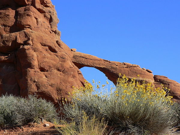 Skyline Arch, a different persepective 