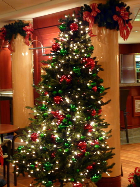 A tree near the coffee corner, my favorite place on the ship