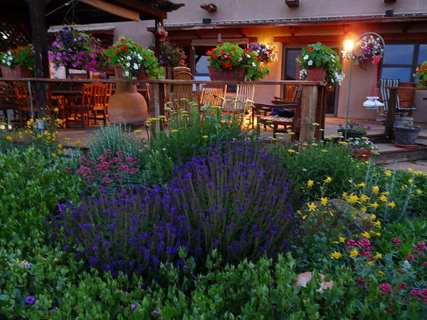 Flowers in the night at Leroux Creek Winery