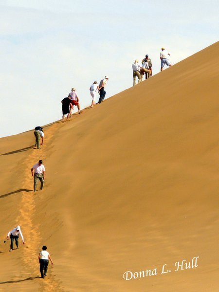 Our group climbs Dune #7