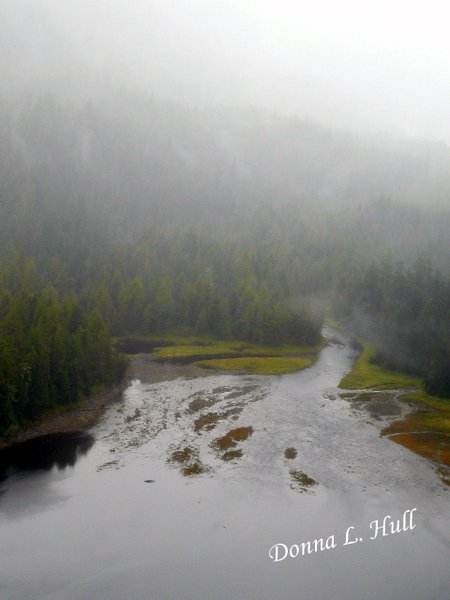 A misty fjord scene