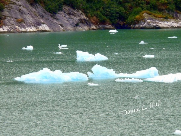 Blue ice in Tracy Arm